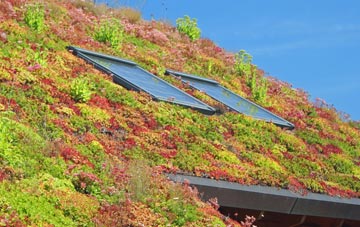 Dunbeath living roof systems