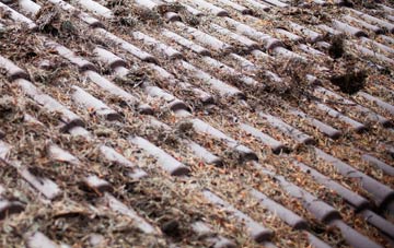 Dunbeath roof cleaning companies