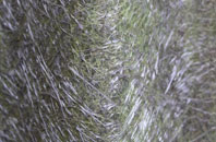 Dunbeath fibreglass roof work